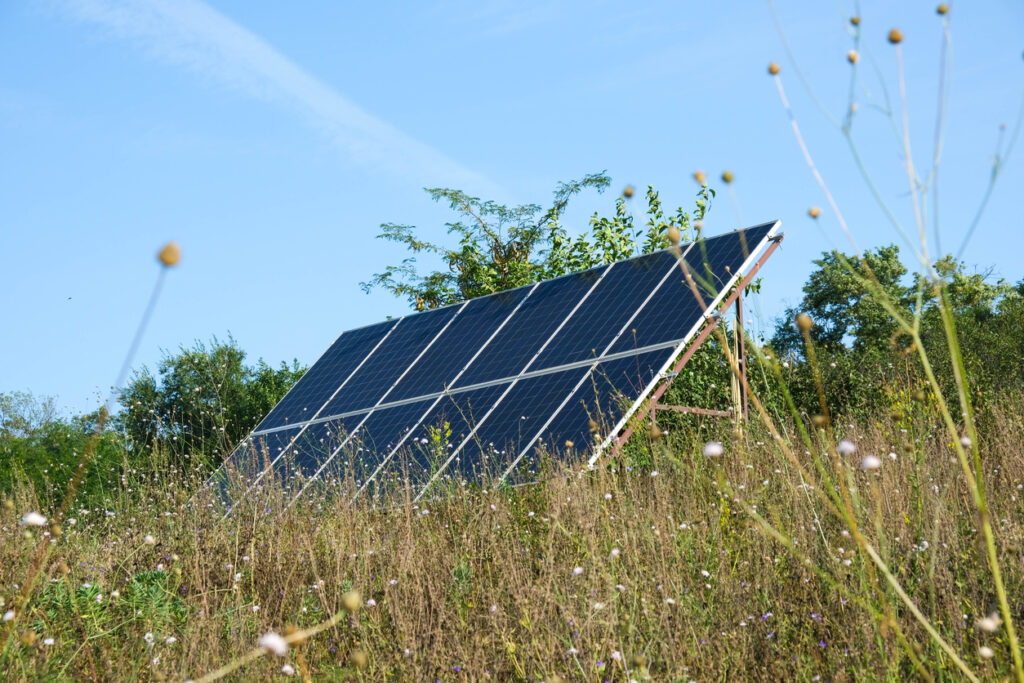 AMPYR-Trinlaymire-header-1024x683